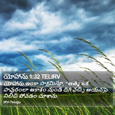 యోహాను 1:32 TELIRV Bible Verse Image