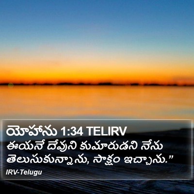 యోహాను 1:34 TELIRV Bible Verse Image