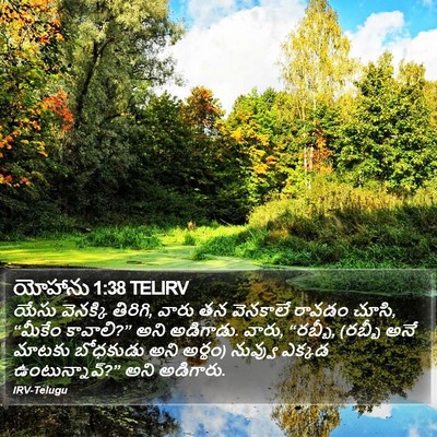 యోహాను 1:38 TELIRV Bible Verse Image