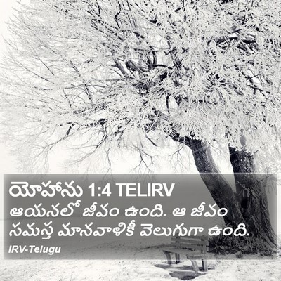 యోహాను 1:4 TELIRV Bible Verse Image