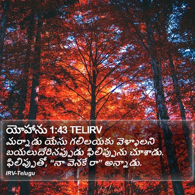 యోహాను 1:43 TELIRV Bible Verse Image