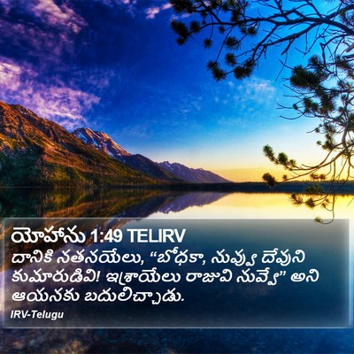 యోహాను 1:49 TELIRV Bible Verse Image