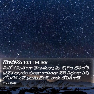 యోహాను 10:1 TELIRV Bible Verse Image