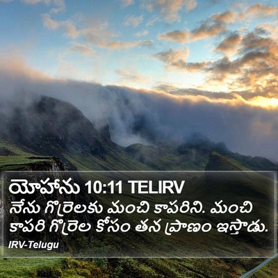 యోహాను 10:11 TELIRV Bible Verse Image
