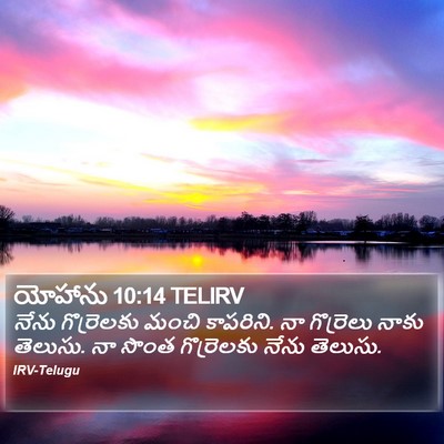 యోహాను 10:14 TELIRV Bible Verse Image