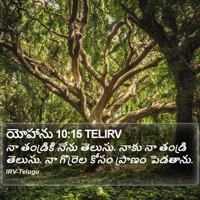 యోహాను 10:15 TELIRV Bible Verse Image