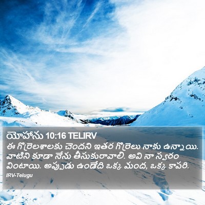 యోహాను 10:16 TELIRV Bible Verse Image