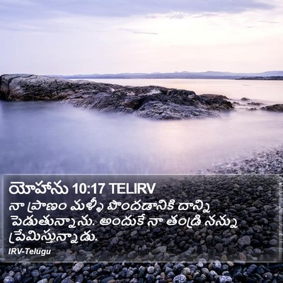 యోహాను 10:17 TELIRV Bible Verse Image
