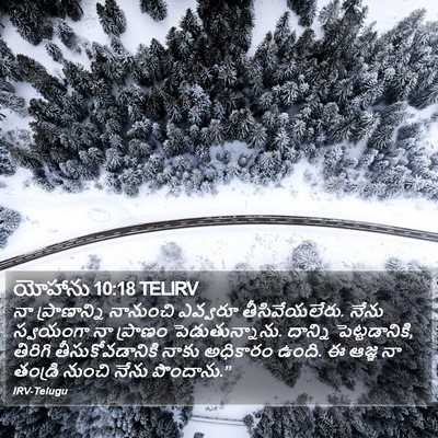 యోహాను 10:18 TELIRV Bible Verse Image