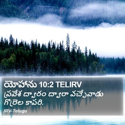 యోహాను 10:2 TELIRV Bible Verse Image