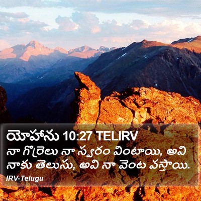 యోహాను 10:27 TELIRV Bible Verse Image