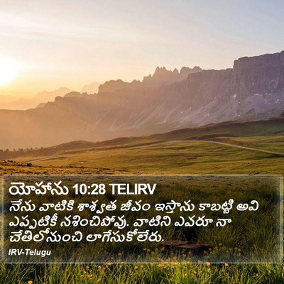 యోహాను 10:28 TELIRV Bible Verse Image