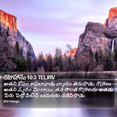 యోహాను 10:3 TELIRV Bible Verse Image