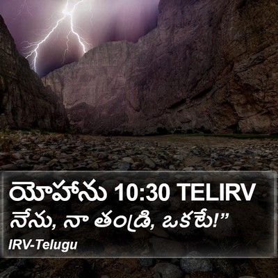 యోహాను 10:30 TELIRV Bible Verse Image