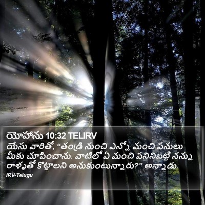 యోహాను 10:32 TELIRV Bible Verse Image