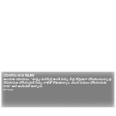 యోహాను 10:33 TELIRV Bible Verse Image