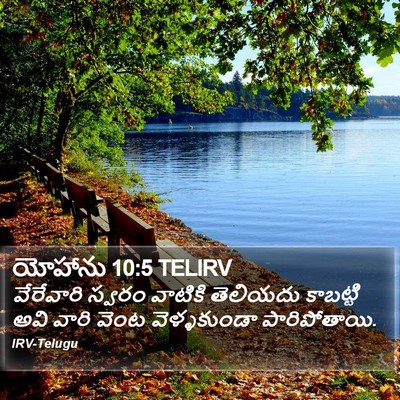 యోహాను 10:5 TELIRV Bible Verse Image