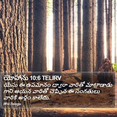 యోహాను 10:6 TELIRV Bible Verse Image