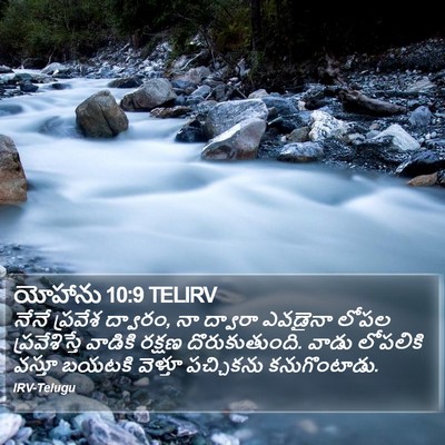 యోహాను 10:9 TELIRV Bible Verse Image