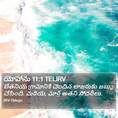 యోహాను 11:1 TELIRV Bible Verse Image