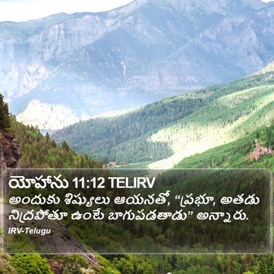 యోహాను 11:12 TELIRV Bible Verse Image