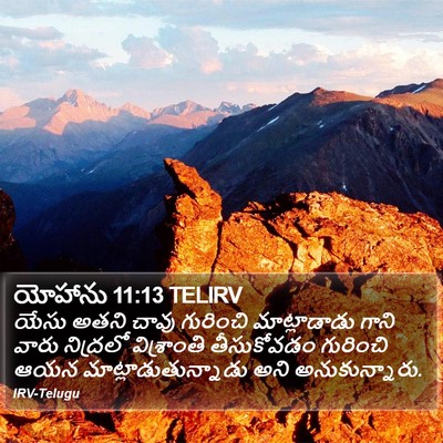 యోహాను 11:13 TELIRV Bible Verse Image