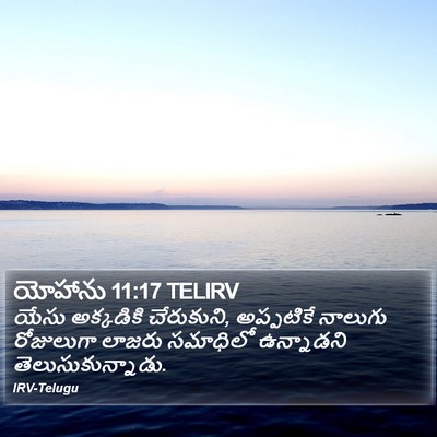 యోహాను 11:17 TELIRV Bible Verse Image