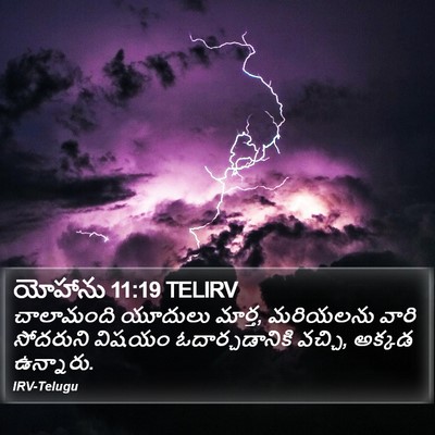 యోహాను 11:19 TELIRV Bible Verse Image