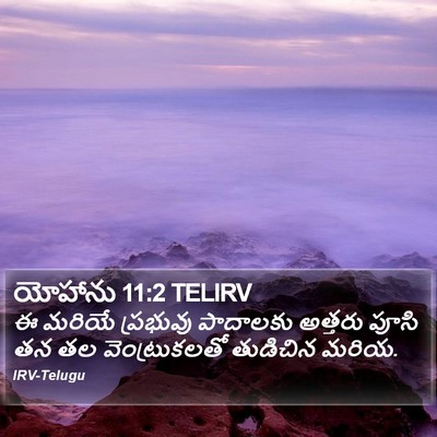 యోహాను 11:2 TELIRV Bible Verse Image