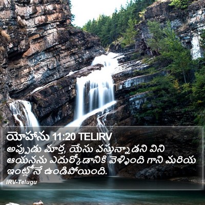 యోహాను 11:20 TELIRV Bible Verse Image