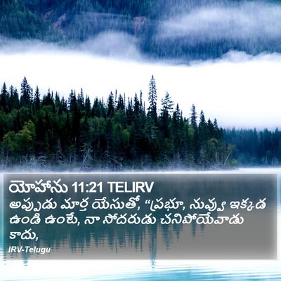 యోహాను 11:21 TELIRV Bible Verse Image