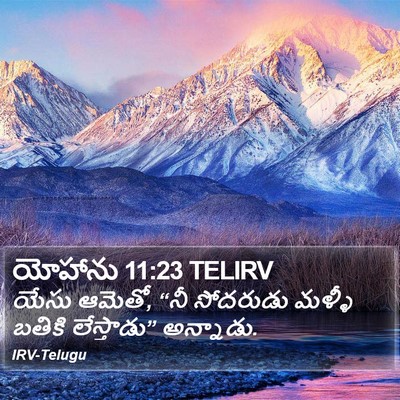 యోహాను 11:23 TELIRV Bible Verse Image