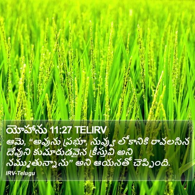 యోహాను 11:27 TELIRV Bible Verse Image