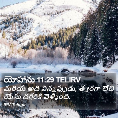 యోహాను 11:29 TELIRV Bible Verse Image