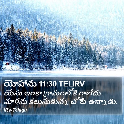 యోహాను 11:30 TELIRV Bible Verse Image