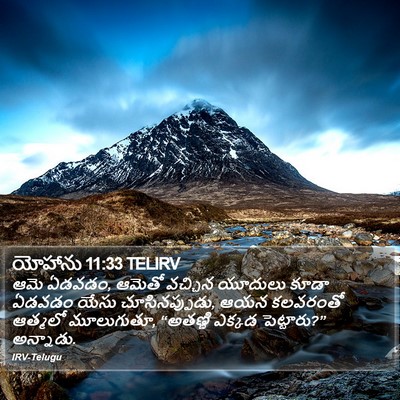 యోహాను 11:33 TELIRV Bible Verse Image