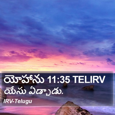 యోహాను 11:35 TELIRV Bible Verse Image