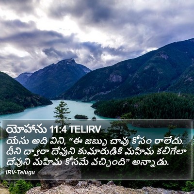 యోహాను 11:4 TELIRV Bible Verse Image
