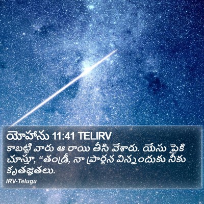 యోహాను 11:41 TELIRV Bible Verse Image