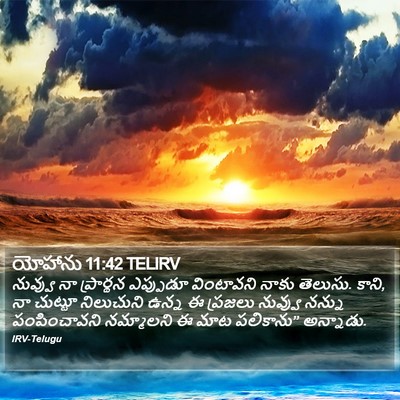 యోహాను 11:42 TELIRV Bible Verse Image