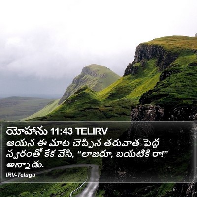 యోహాను 11:43 TELIRV Bible Verse Image