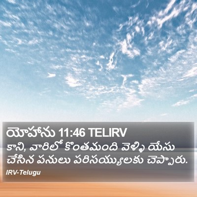 యోహాను 11:46 TELIRV Bible Verse Image