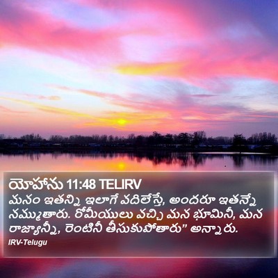యోహాను 11:48 TELIRV Bible Verse Image