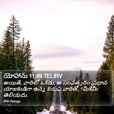 యోహాను 11:49 TELIRV Bible Verse Image