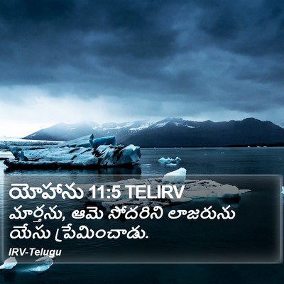 యోహాను 11:5 TELIRV Bible Verse Image