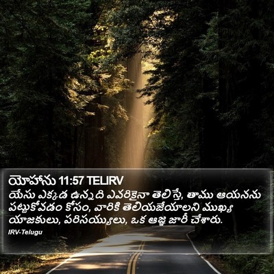 యోహాను 11:57 TELIRV Bible Verse Image