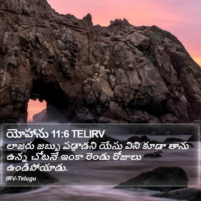యోహాను 11:6 TELIRV Bible Verse Image