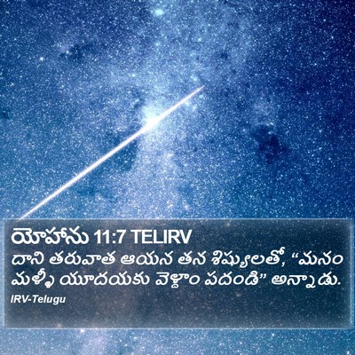 యోహాను 11:7 TELIRV Bible Verse Image