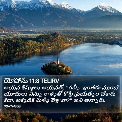 యోహాను 11:8 TELIRV Bible Verse Image