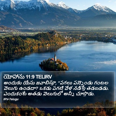 యోహాను 11:9 TELIRV Bible Verse Image